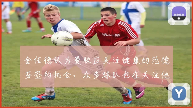 舍伍德认为曼联应关注健康的范德芬签约机会，众多球队也在关注他