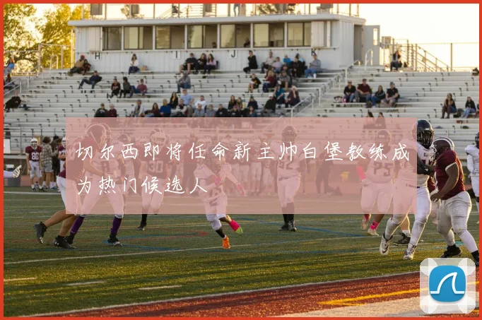 切尔西即将任命新主帅白堡教练成为热门候选人